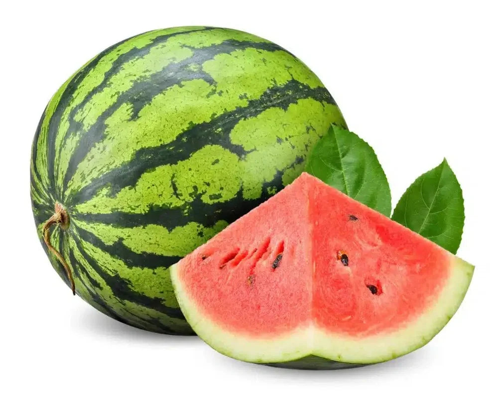 Watermelon Stripped 1pc { 1.5 kg- 2.5 kg}