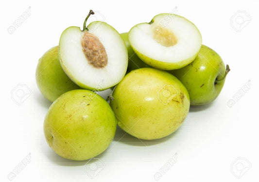 Apple Bear