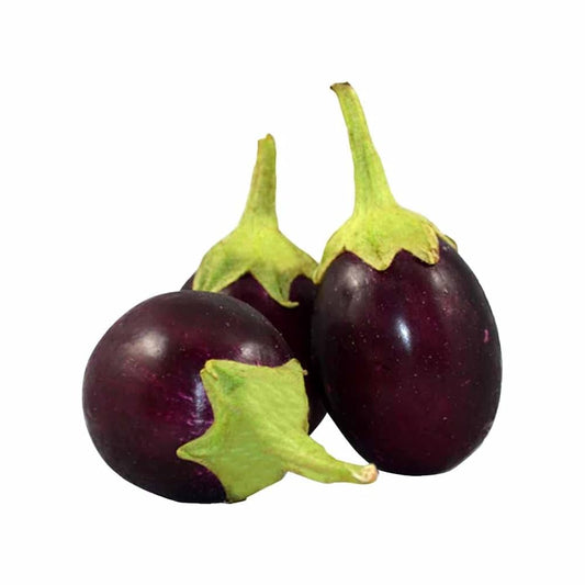 Brinjal nagpur