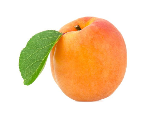 Apricot