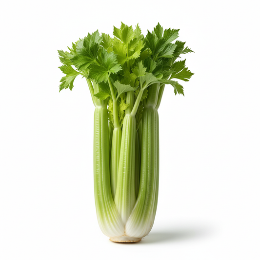 Celery