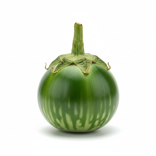 Round green Brinjal