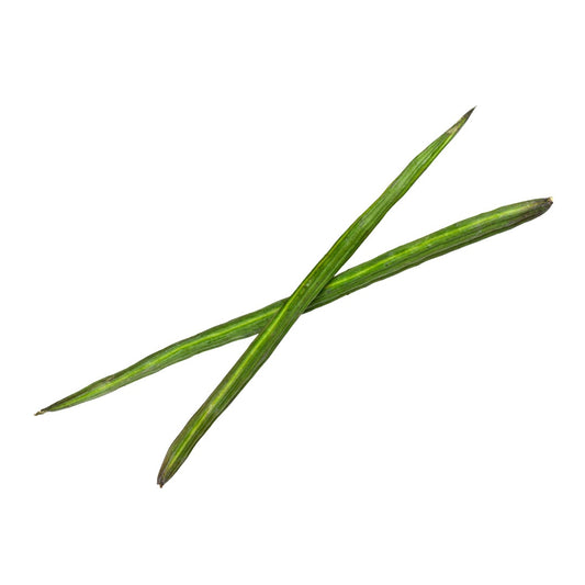 Drumstick 2pieces