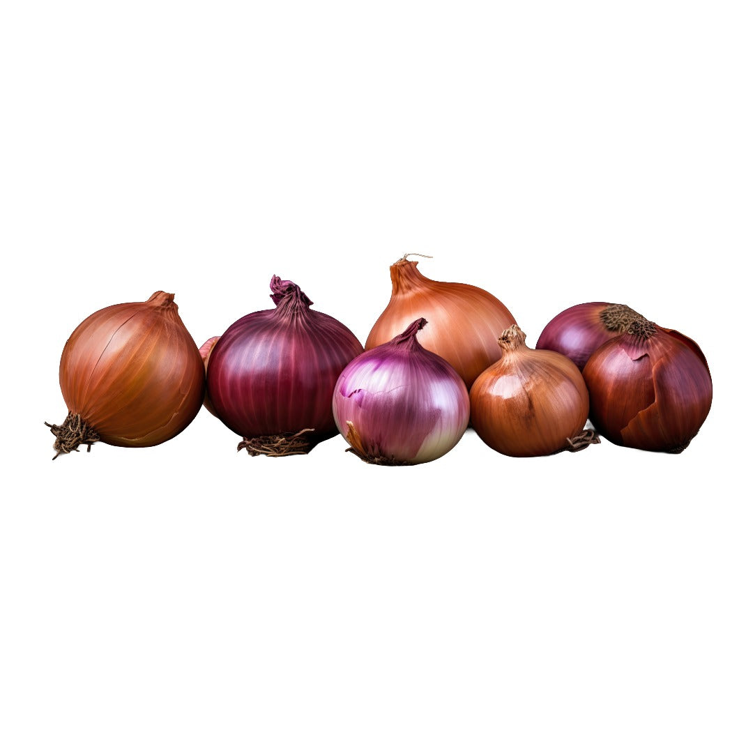 Onion 1kg