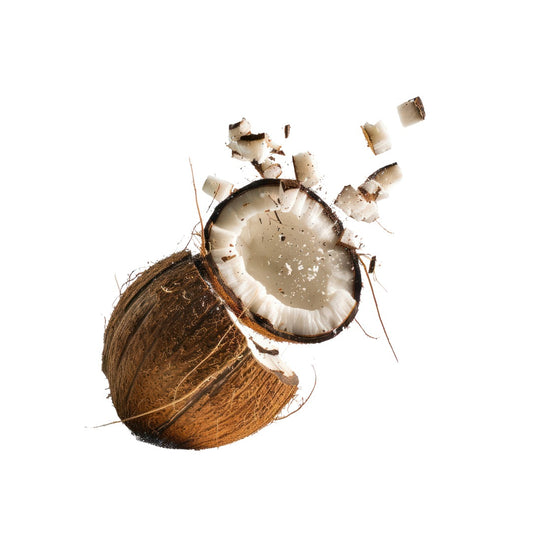 Coconut Chunks 100g