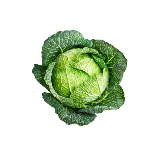 Organic Certified Cabbage 1piece