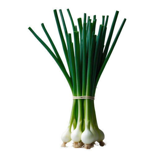 Spring Onion 1bunch
