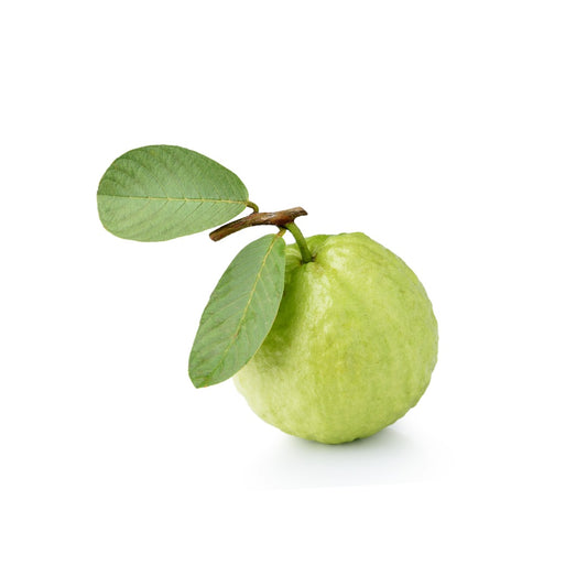 Premium Guava 1 Pc (300-350 gms)