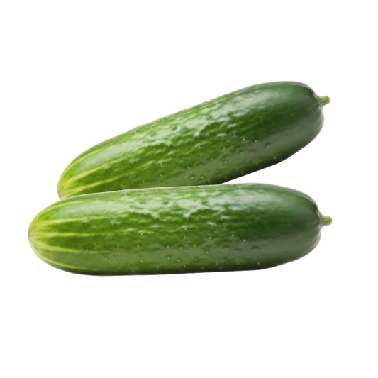 Green Cucumber 2pieces