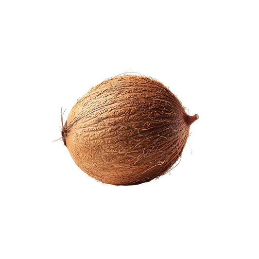 Coconut 1 Pc (Medium)