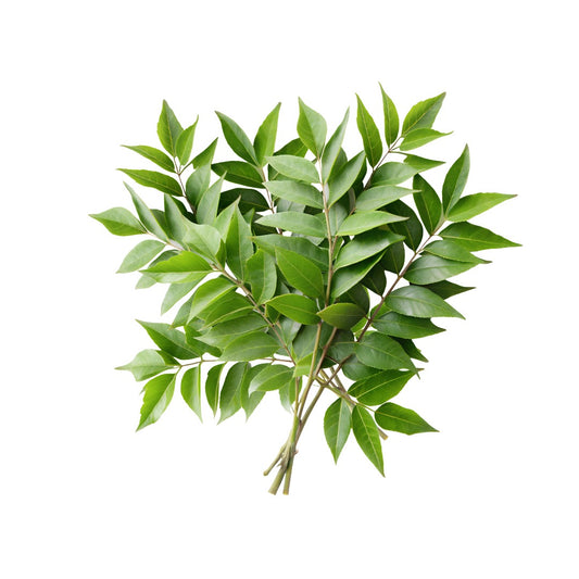 Curry Leaves 1bunch