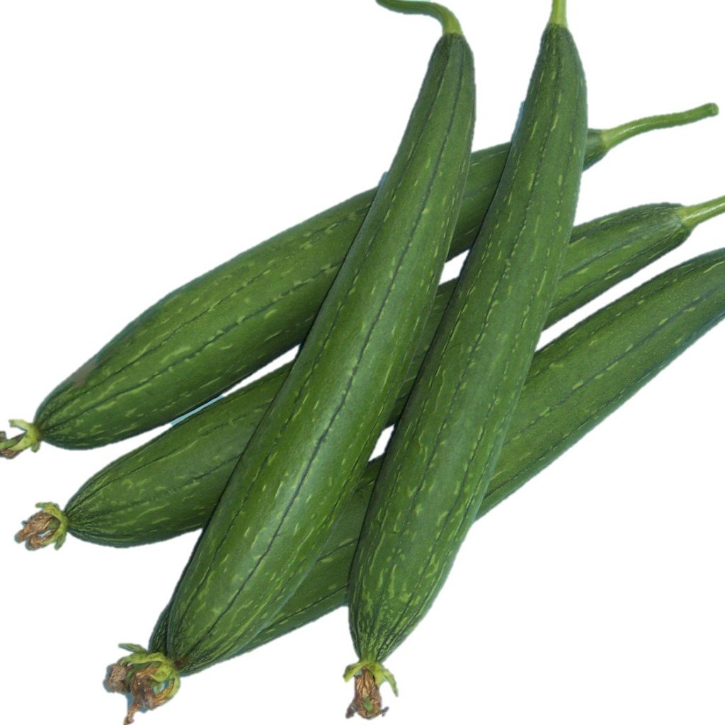 Sponge Gourd / गिल्की 500gm
