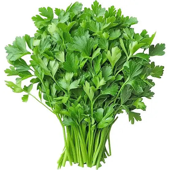 Coriander / धनिया 100g