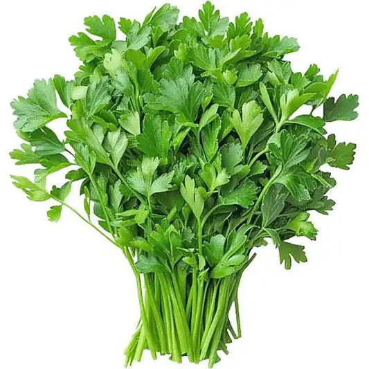 Coriander / धनिया 100g