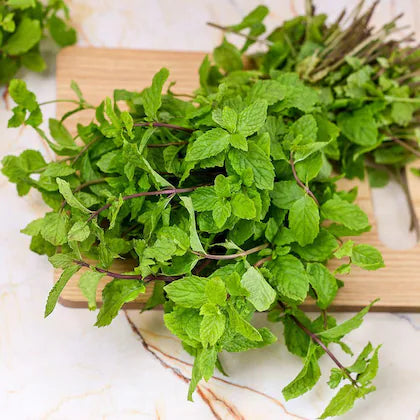 Mint Leaves / पुदीना  100 g